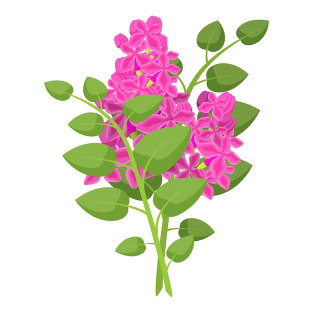 Gráfico vectorial de una flor de lila rosa exuberante con hojas verdes aisladas en blanco