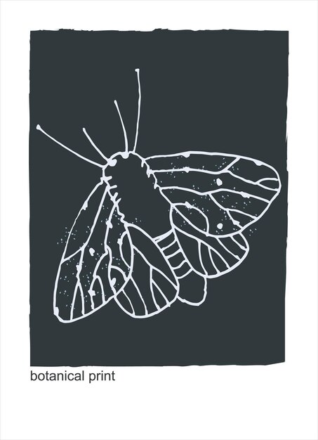 Gráfico vectorial con con polillas de fantasía mariposas dibujos a lápiz boceto decoración arte imprimible