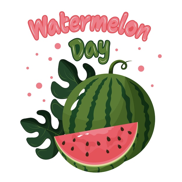 Gráfico vectorial con sandía para el Día de la Sandía diseño simple estilo lindo diseño colorido