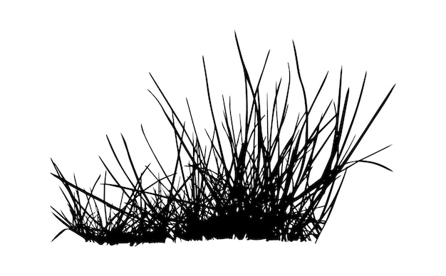 gráficos de arte vectorial de silueta de hierba ornamental