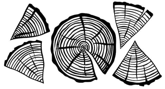 gráficos de dibujo vectorial corte de sierra de un árbol dibujo en blanco y negro y un trozo de madera el tema