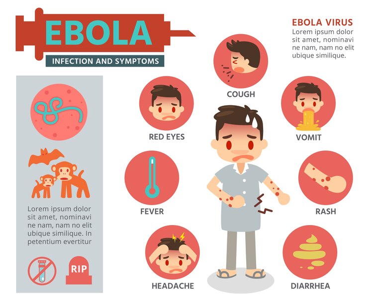 Vector gráficos de ebola virus info