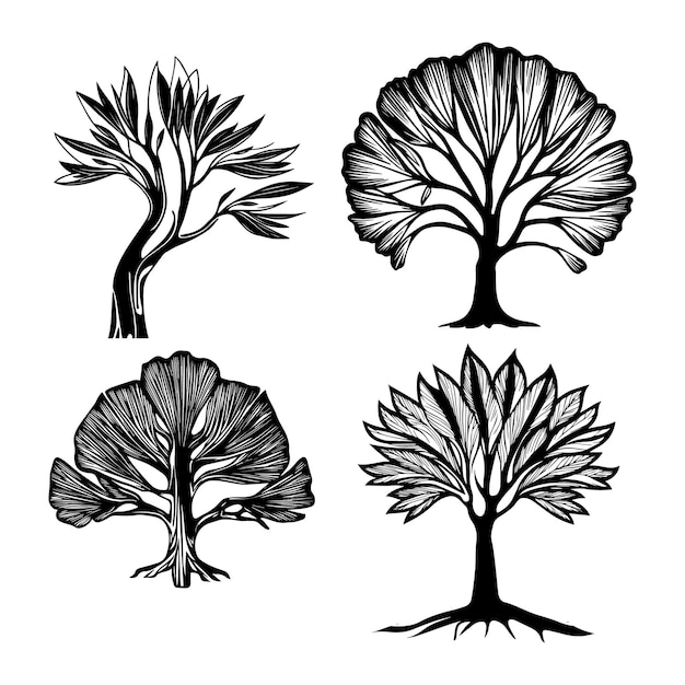 Gráficos vectoriales de árboles Diseños impresionantes y de alta calidad para sus proyectos creativos