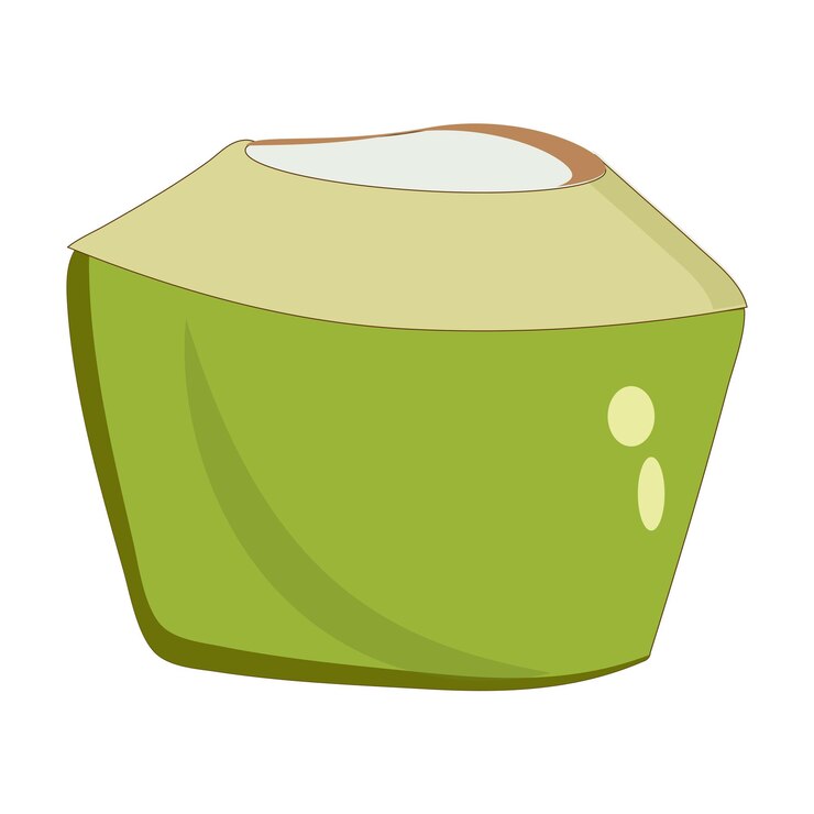 Vector gráficos vectoriales de coco verde icono de agua de coco joven cóctel de coco de verano