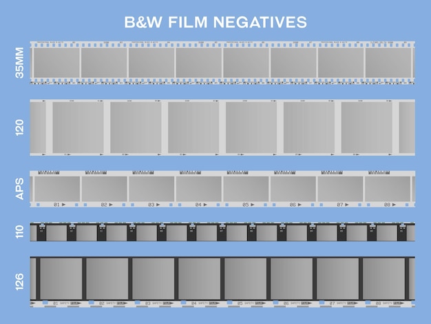 Vector gráficos vectoriales detallados de negativos de película en blanco y negro