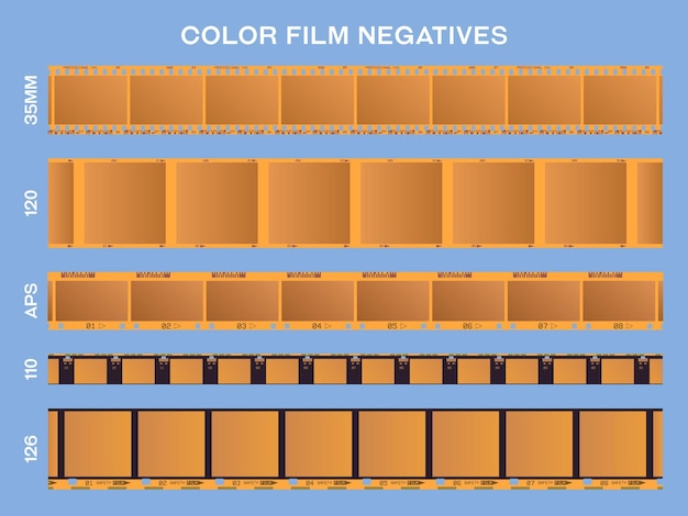 Vector gráficos vectoriales detallados de los negativos de película en color c41