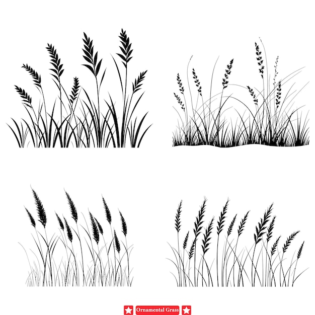 Gráficos vectoriales de hierba ornamental Ilustraciones inspiradas en la naturaleza serena