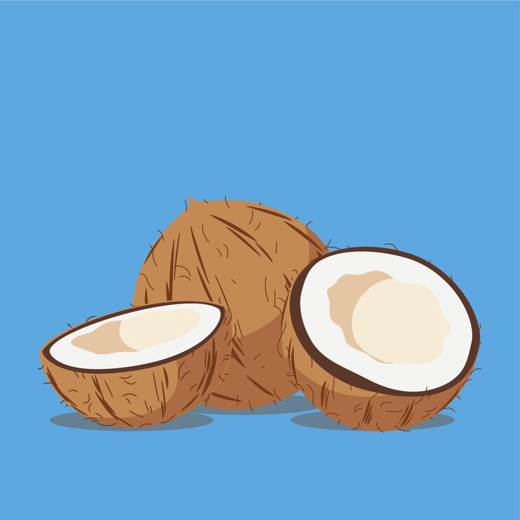 gráficos vectoriales ilustración vectorial icono logotipo fondo diseño azul cocos cortado fresco