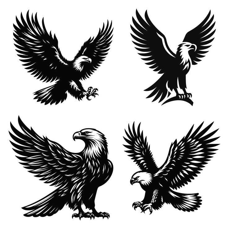 Gráficos vectoriales de Majestic Eagle