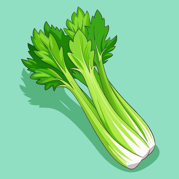 Gráficos vectoriales de verduras de apio fresco