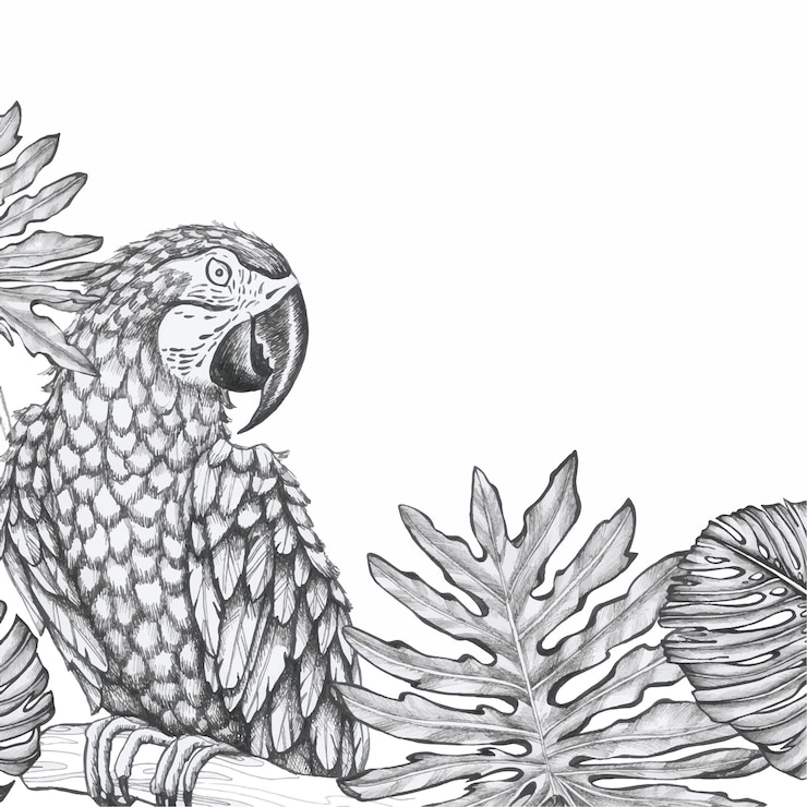 Vector grafika e illustracii