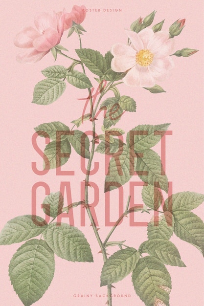 GRAINY BOTANICAL