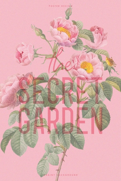 GRAINY BOTANICAL