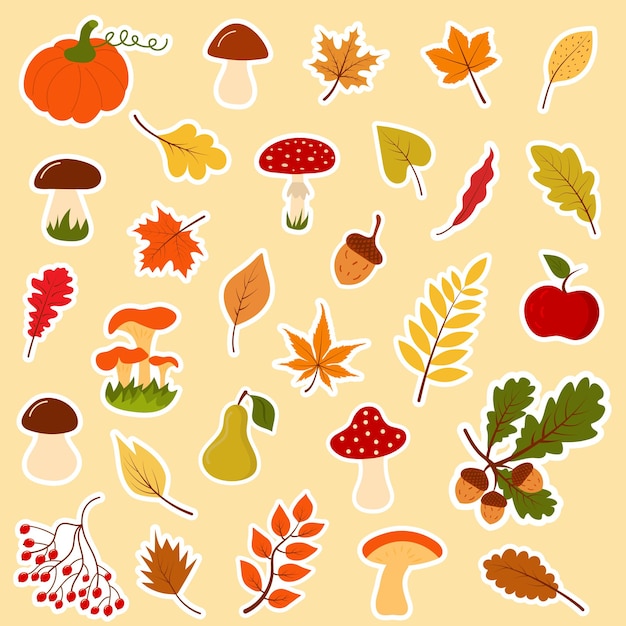 Gran bosque de otoño conjunto de pegatinas Colección de hojas caídas setas bellotas bayas ramitas fruta