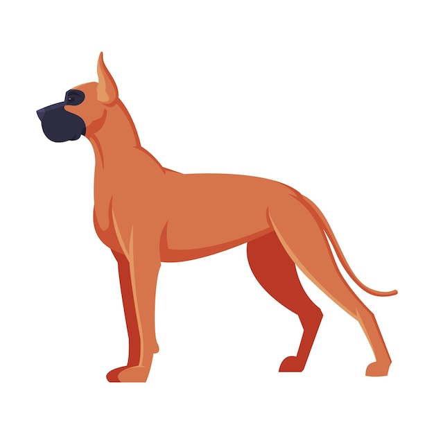 El gran boxeador danés es un perro de pura raza, una mascota, un animal de compañía, una ilustración vectorial de vista lateral.