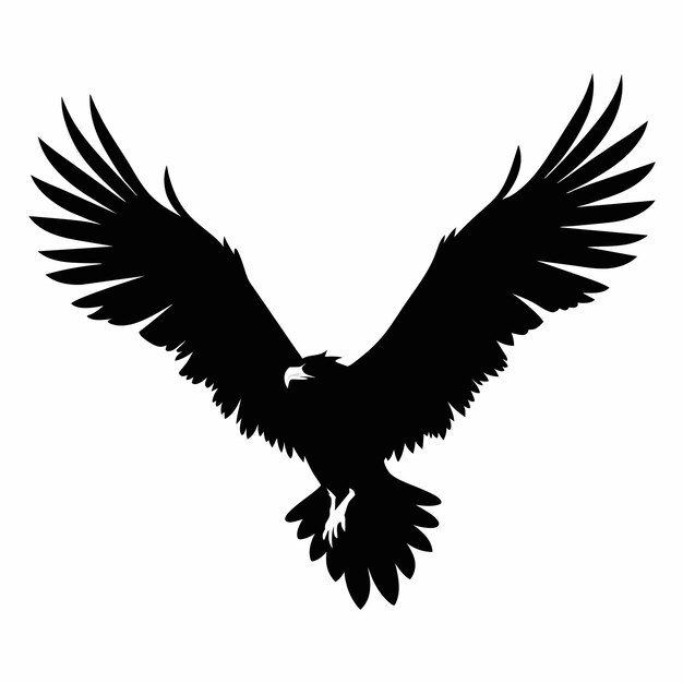 El gran buitre grifo es una silueta voladora vectorial 42