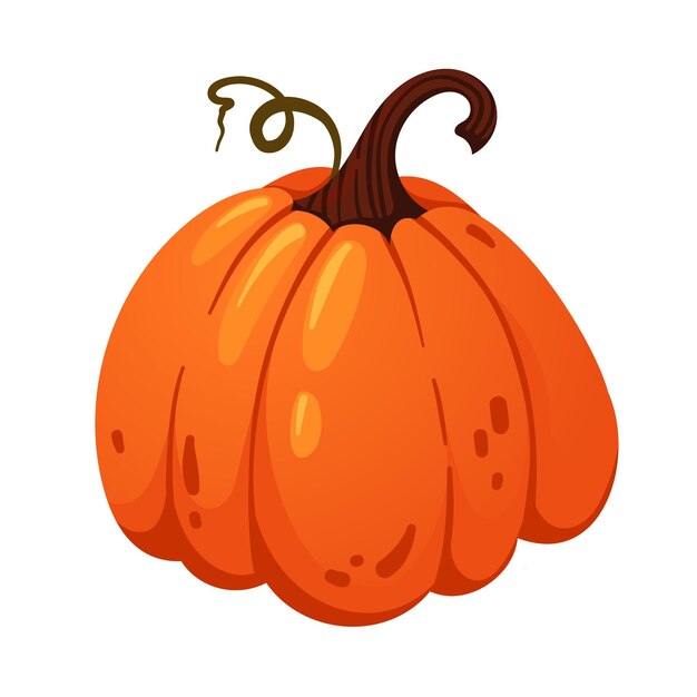 Gran calabaza madura con tallos rizados y frondosos aislados sobre un fondo blanco Fruta de calabaza orgánica Cosecha de otoño Calabaza de estilo plano