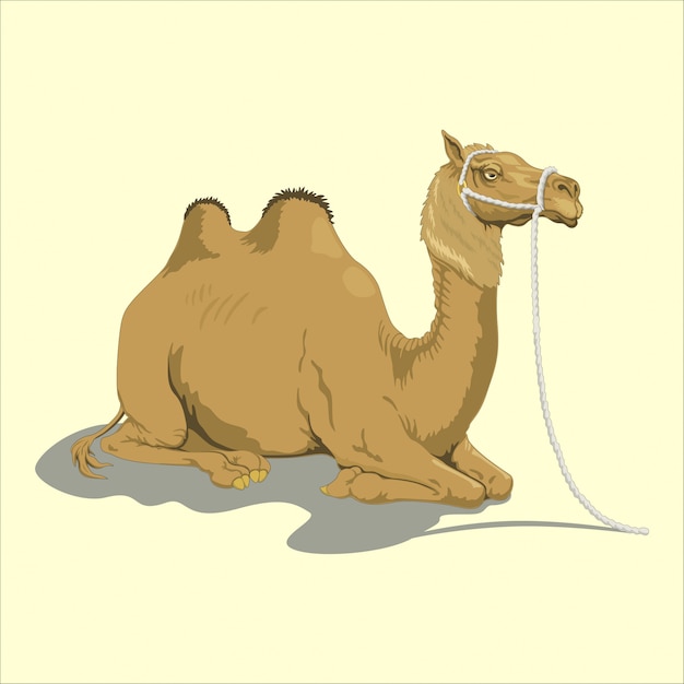 Vector gran camello doméstico