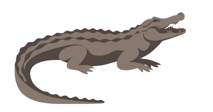Vector el gran cocodrilo gris tiene la boca abierta.