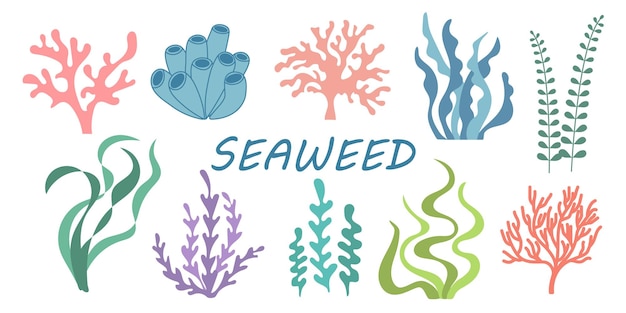 Gran colección de algas marinas de dibujos animados aislados Conjunto de plantas submarinas dibujadas a mano coloridas Ilustración de garabatos vectoriales de verano