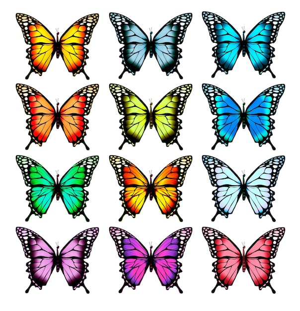 Gran colección de coloridas mariposas. Vector