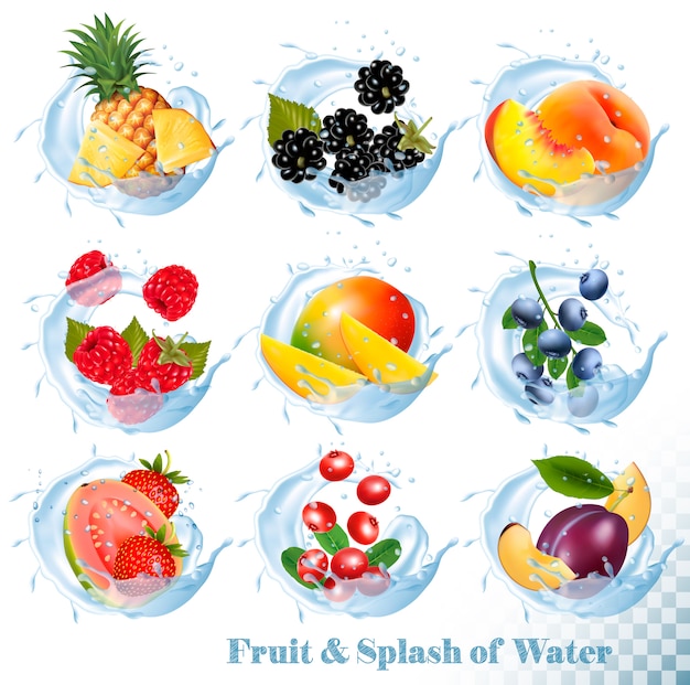 Gran colección de frutas en un iconos de salpicaduras de agua. Piña, mango, durazno, guayaba, arándano, ciruelas, fresa, granberry, frambuesa, mora. Conjunto