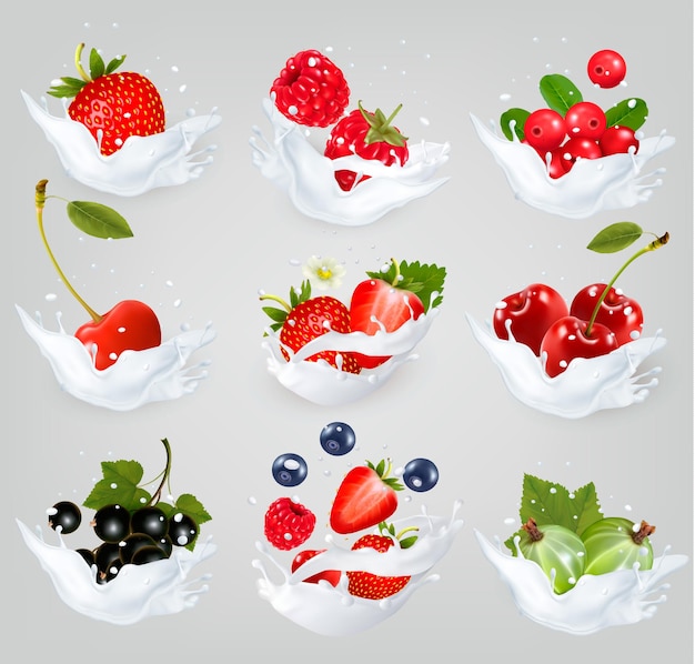 Gran colección de iconos de frutas y bayas en un chorrito de leche. Frambuesa, mora, fresa, cereza, grosella negra, arándano.