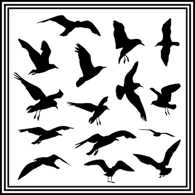 Una gran colección de siluetas de pájaros gaviotas, con el logotipo de la silueta de gaviotas aislado en blanco