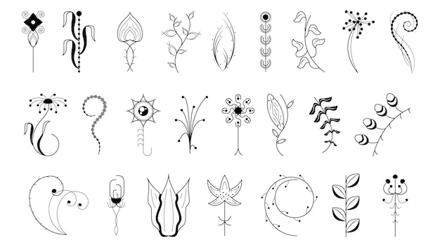 Gran conjunto abstracto Doodle Colección dibujada a mano Botánica Hierbas Flora Hoja Rama Vid Flor Plantas