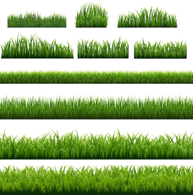 Gran conjunto de borde de hierba verde