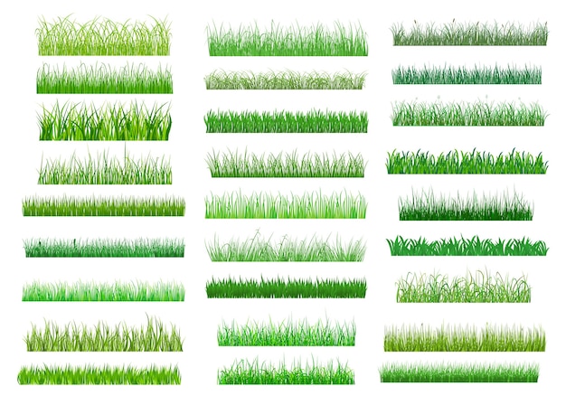 Gran conjunto de bordes de hierba de primavera verde fresca en diferentes tonos de longitudes y densidades de verde para usar como elementos de diseño en blanco