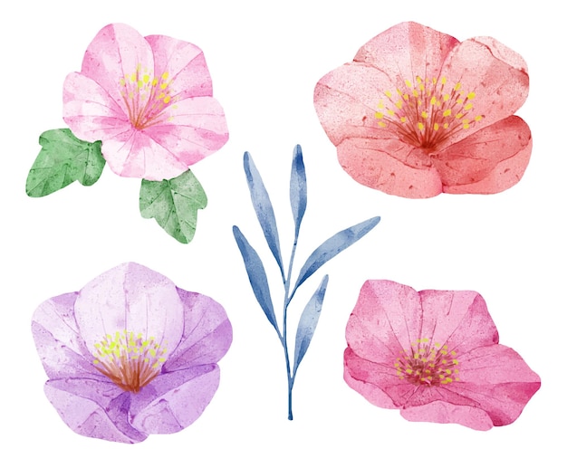 Gran conjunto botánico de flores silvestres Conjunto de piezas separadas y unidas a un hermoso ramo de flores en estilo de colores de agua en la ilustración de vector plano de fondo blanco
