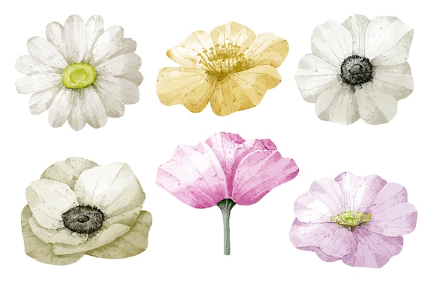 Gran conjunto botánico de flores silvestres Conjunto de piezas separadas y unidas a un hermoso ramo de flores en estilo de colores de agua en la ilustración de vector plano de fondo blanco