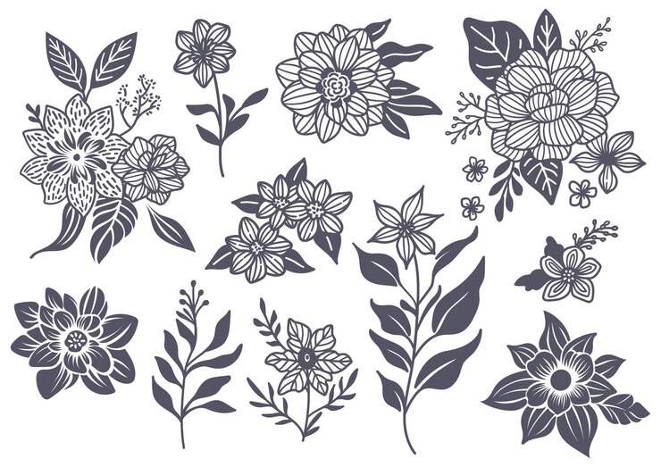 Vector gran conjunto de elementos de doodle de flores y hojas botánicas