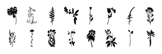 Vector un gran conjunto de flores y plantas colección de plantas flores y hierbas