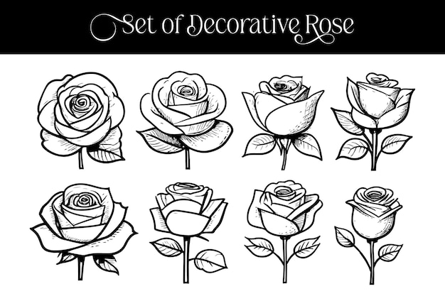 Gran conjunto de flores de rosa abiertas y no sopladas hojas y tallos de rosas vector realista dibujado a mano