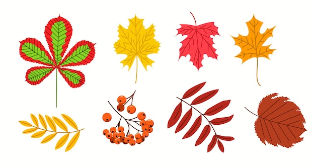 Vector un gran conjunto de follaje un grupo de ilustraciones de vectores de otoño