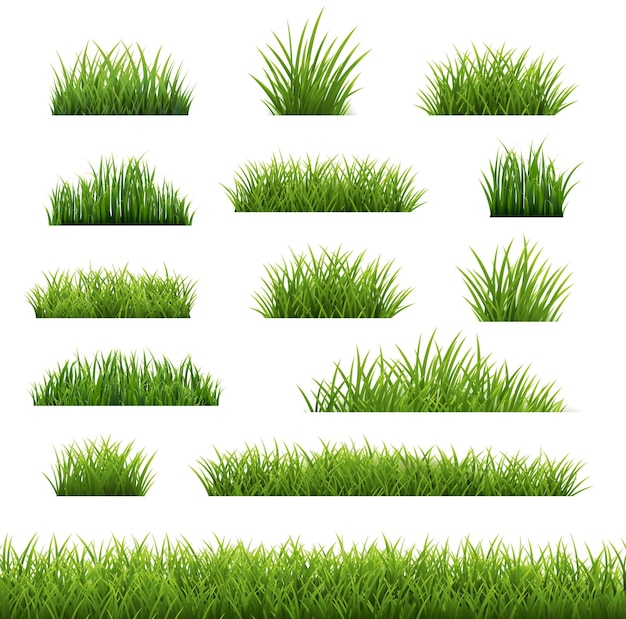 Gran Conjunto Hierba Verde Aislado