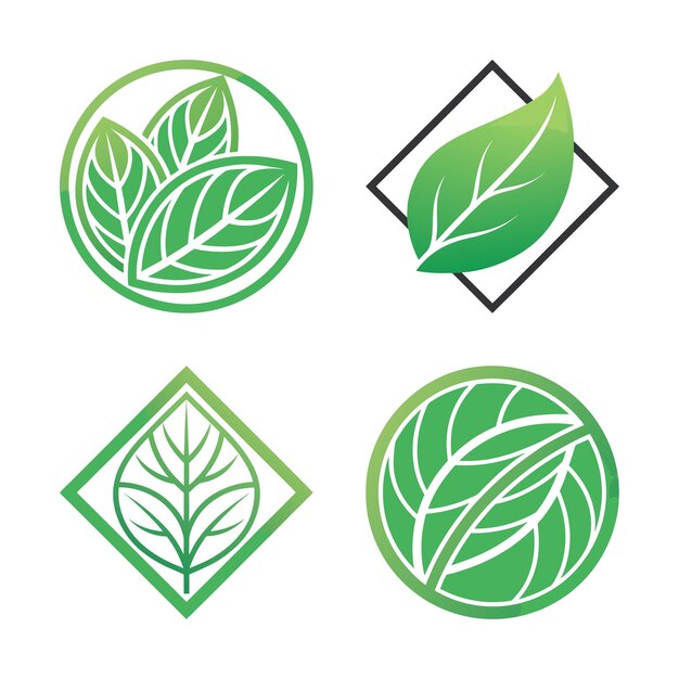Gran conjunto de íconos de hoja, círculo y cuadrado Colección geométrica inspirada en la naturaleza