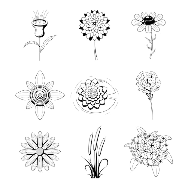 Gran conjunto de resúmenes elementos de dibujos dibujados a mano colección botánica flora de hierbas hoja rama flor de vid