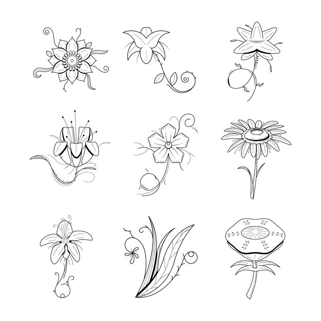 Gran conjunto de resúmenes elementos de dibujos dibujados a mano colección botánica flora de hierbas hoja rama flor de vid