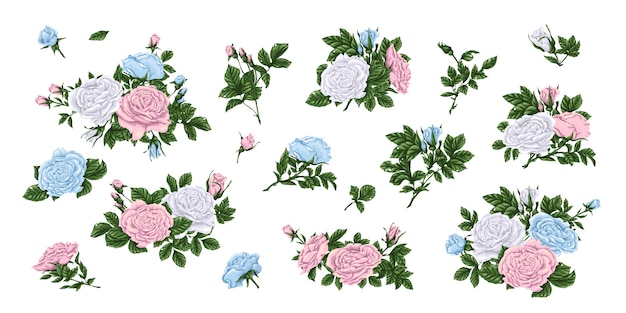 Gran conjunto de rosas blancas, rosas y azules, ramos de flores y capullos. Ilustración vectorial