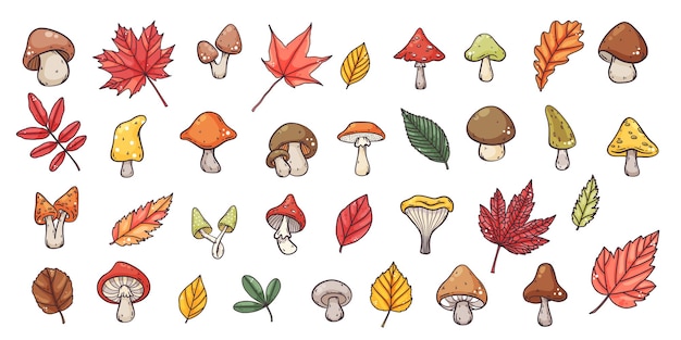 Gran conjunto de setas de hongo y hojas de otoño dibujadas a mano dibujado a mano con un estilo colorido de dibujos animados