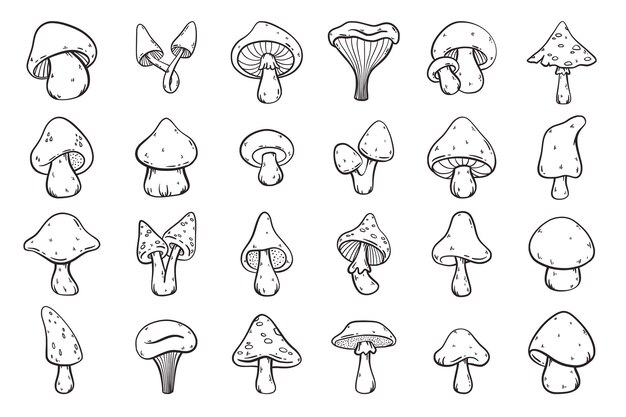 Un gran conjunto de setos dibujados a mano de dibujos animados