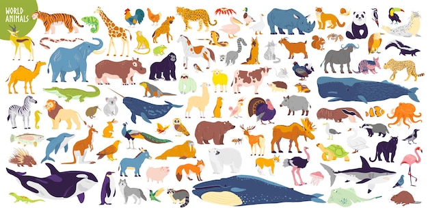 Vector gran conjunto de vectores de diferentes animales salvajes del mundo, mamíferos, peces, reptiles y aves, animales raros