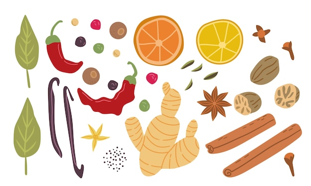 Gran conjunto vectorial de especias culinarias populares Jengibre, chile, pimienta, nuez moscada, anís y clavo de olor
