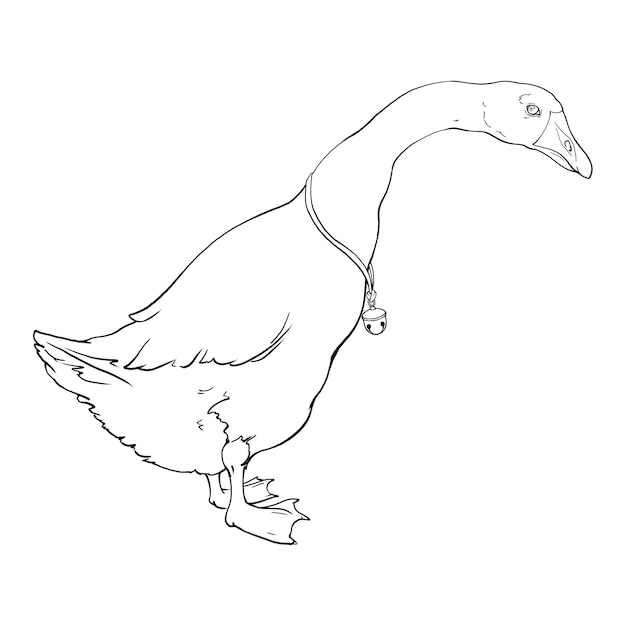 Un gran ganso de perfil completo con una campana en el cuello. Dibujo de contorno lineal.