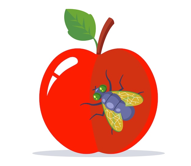 Una gran mosca se posa sobre una manzana roja. ilustración vectorial plana.