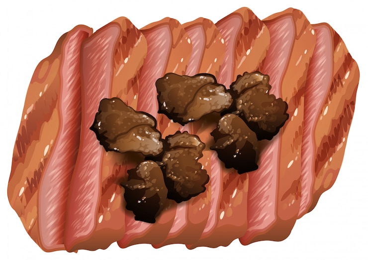 Vector una gran pieza de filete cocido