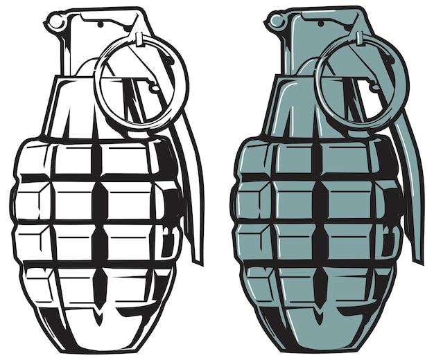 Vector granada de arte vectorial completamente editable